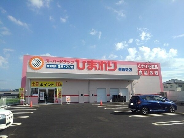 周辺環境(ドラッグひまわり善通寺店まで600m)