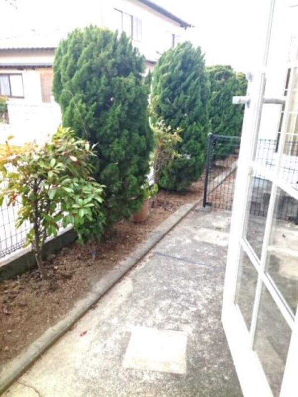庭