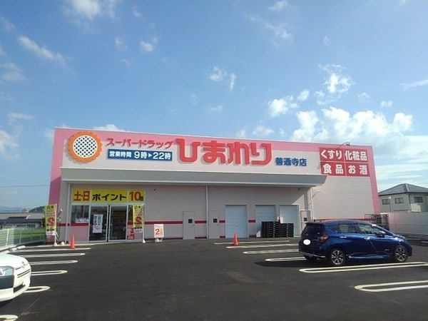 周辺環境(ひまわり善通寺店まで500m)