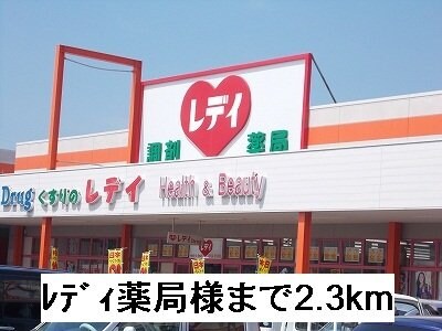 物件外観写真7　(レディ薬局まで2300m)