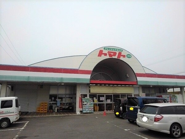 周辺環境(トマト三野店まで250m)