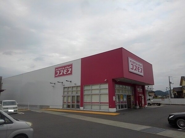 周辺環境(コスモス高瀬店まで2400m)