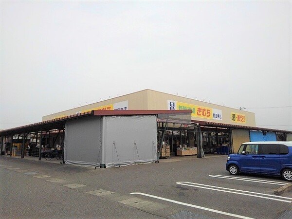 周辺環境(新鮮市場きむら観音寺店まで1400m)