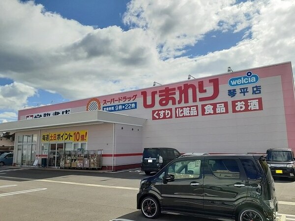 周辺環境(ひまわり琴平店まで1600m)