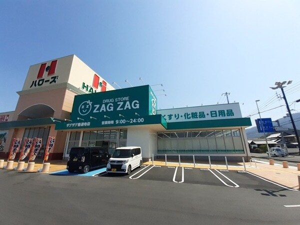 周辺環境(ザグザグ善通寺店まで2600m)