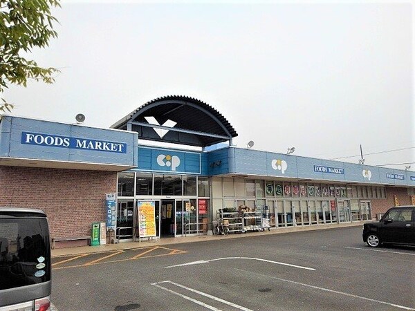 周辺環境(コープかがわ観音寺店まで800m)
