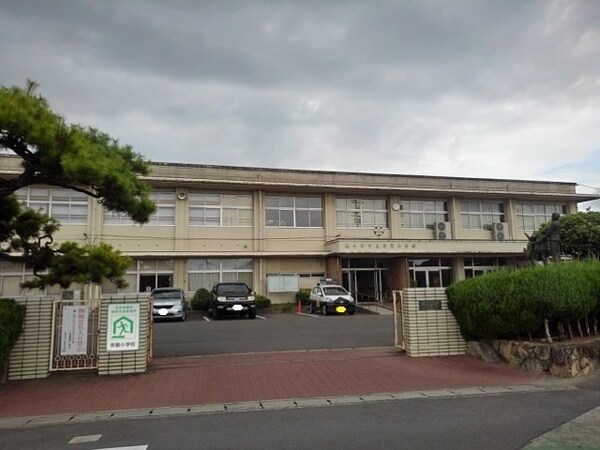 周辺環境(観音寺市立常磐小学校まで850m)