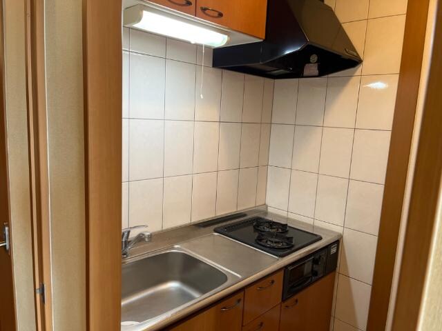 物件内観写真10　(キッチン)