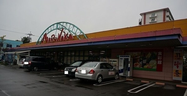 周辺環境(マルナカさんまで550m)