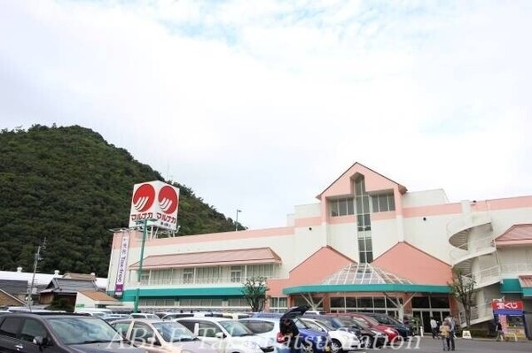 周辺環境(マルナカ栗林南店 809m)