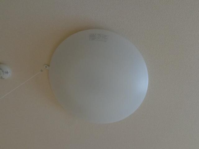 物件内観写真9　(洋室の照明)