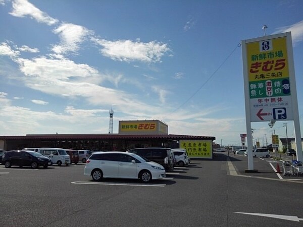 周辺環境(新鮮市場きむら丸亀三条店まで1400m)