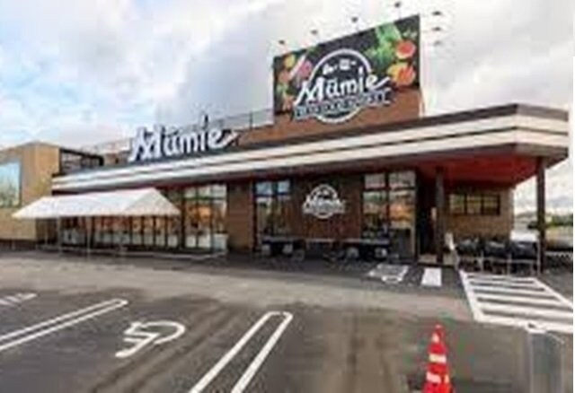 物件外観写真2　(ムーミー林店さんまで300m)