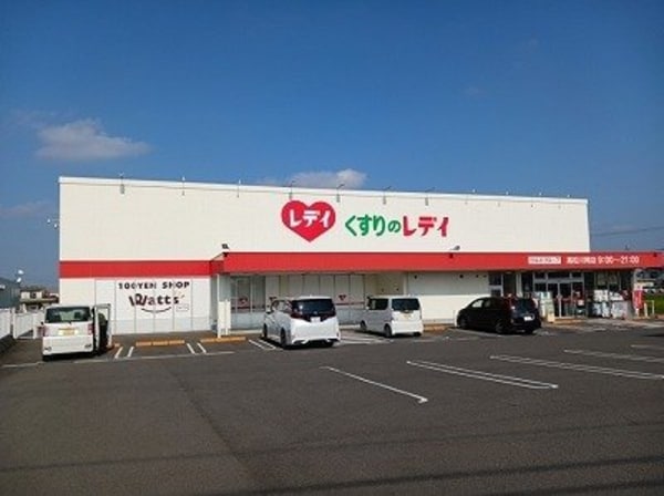 周辺環境(くすりのレディ川岡店さんまで750m)