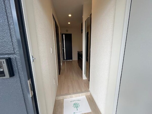 玄関周り(玄関)