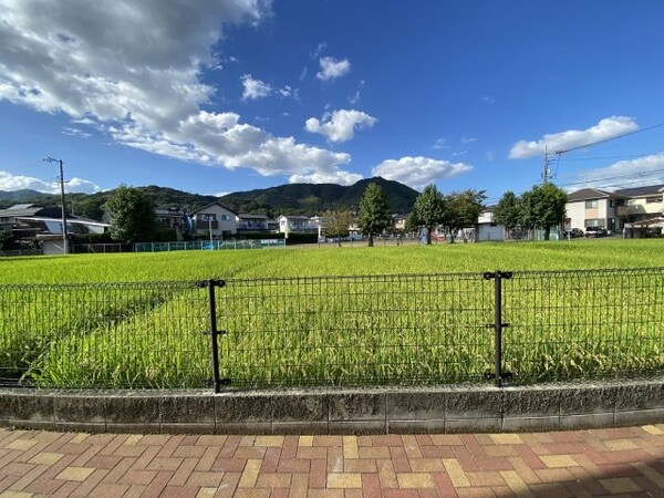 その他(玄関側眺望)