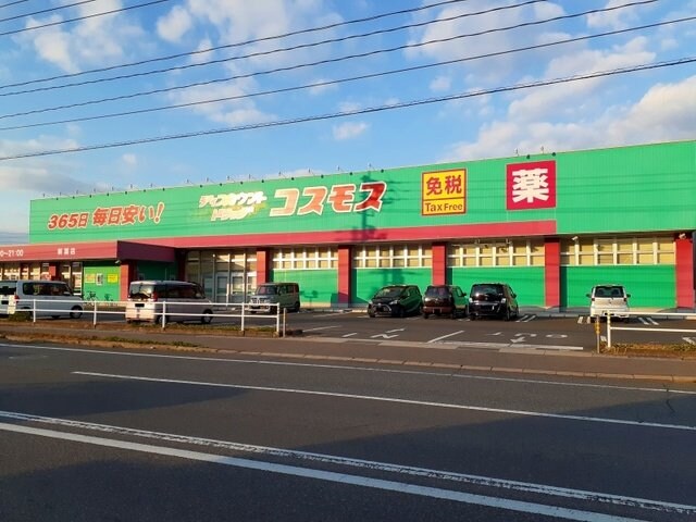 物件外観写真6　(コスモス福山新涯店まで700m)