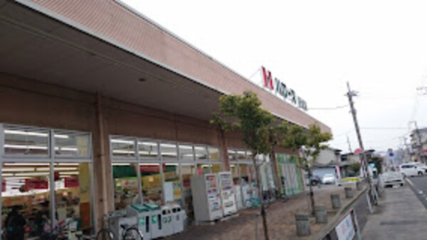 周辺環境(ハローズ 手城店 1307m)