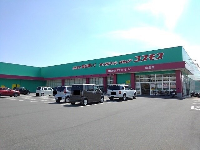 物件外観写真3　(コスモス向島店まで525m)