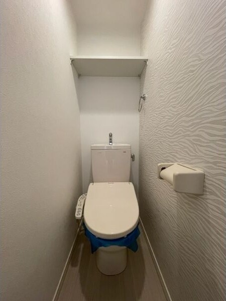 物件内観写真8　(落ち着いた色調のトイレです)