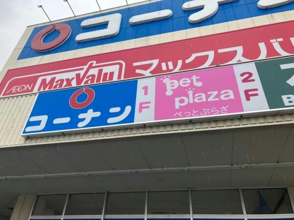 周辺環境(カインズ 名古屋みなと店 1070m)
