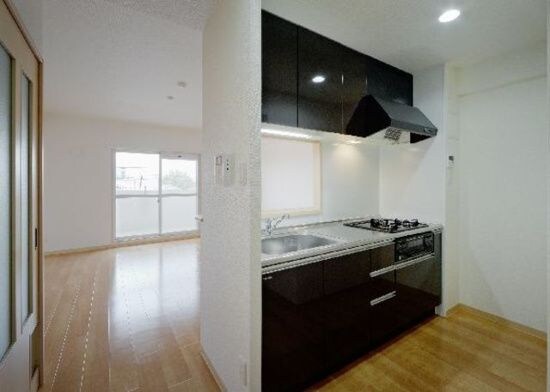 物件内観写真6　(コンパクトなキッチンで掃除もラクラク)