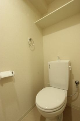 物件内観写真10　(落ち着いた色調のトイレです)