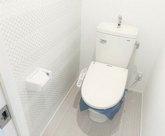 物件内観写真9　(清潔感のあるトイレです)