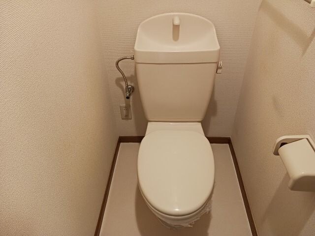 物件内観写真7　(落ち着いた色調のトイレです)