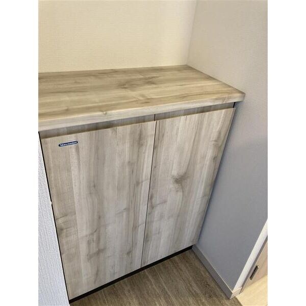 物件内観写真9　(毎日通る玄関はこちらです)