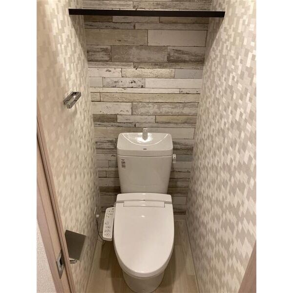 物件内観写真6　(落ち着いたトイレです)