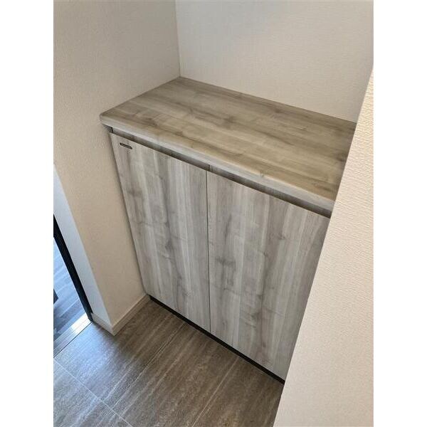 物件内観写真8　(こまごまとしたものを収納できそうですね)