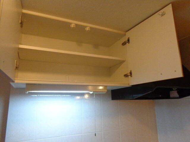 物件内観写真10　(キッチン収納です)