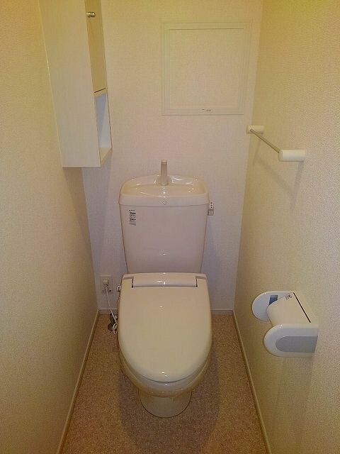 物件内観写真7　(落ち着いた色調のトイレです)