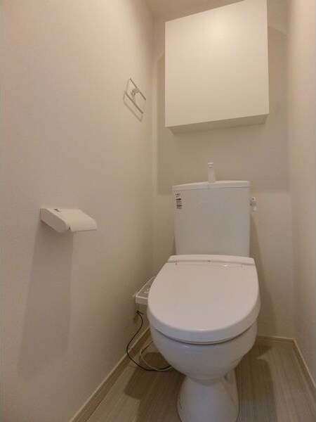 物件内観写真6　(落ち着いたトイレです)