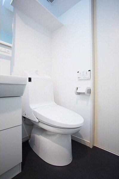 物件内観写真6　(清潔感のあるトイレです)