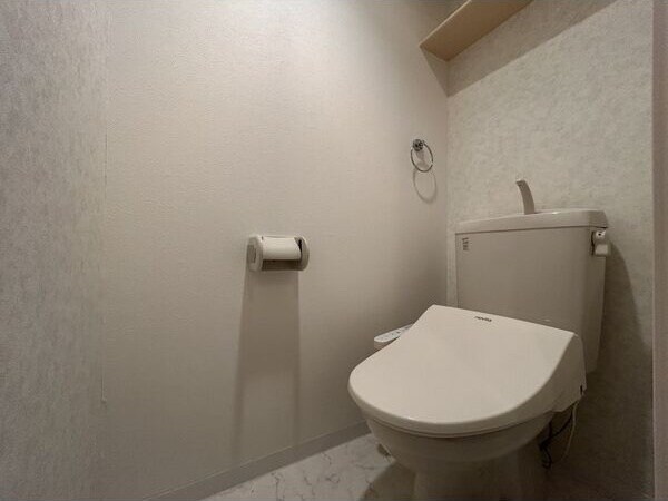 物件内観写真5　(清潔感のあるトイレです)