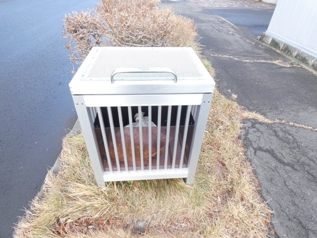 物件内観写真28　