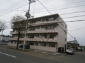ハイセゾン