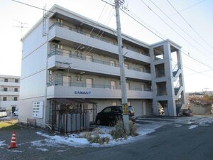 セントラルガーデン11外観写真