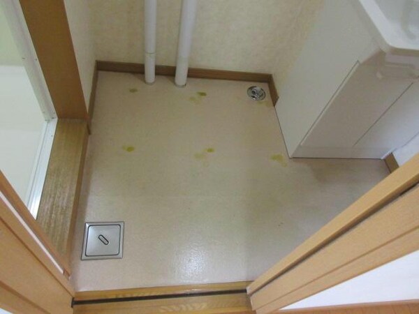 洗面・脱衣所
