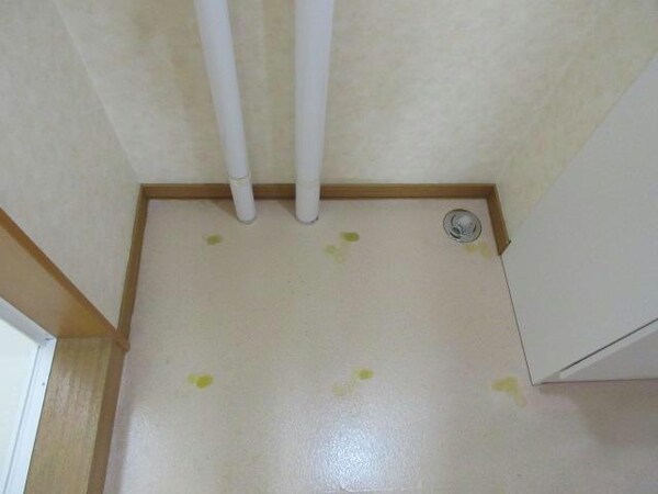内装他