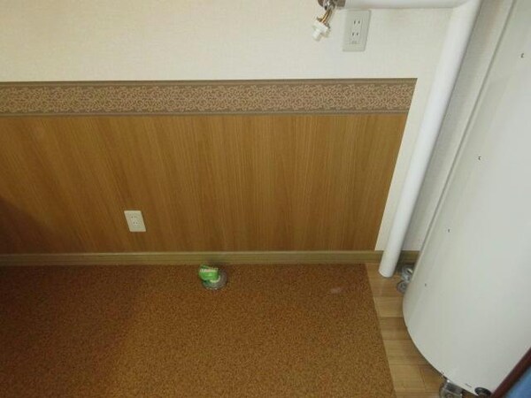 内装他(洗濯機置き場)