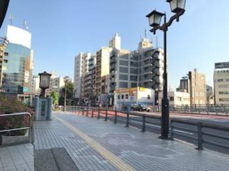 駅前の歩道は桜模様。駒込はソメイヨシノ発祥の地と言われております。