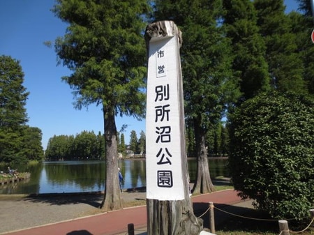 中浦和駅徒歩3分ほどに別所沼公園があります。広さ7.9haで園内には様々な巨木が立ち並んでいます。