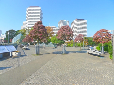 川口駅西口の公園です。春は桜が満開になります！