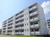 ビレッジハウス石宮4号棟 (204号室)の外観写真