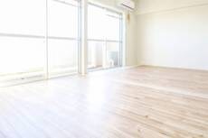 物件内観写真4　(居室・リビング)