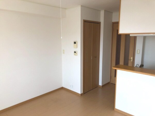 その他内観