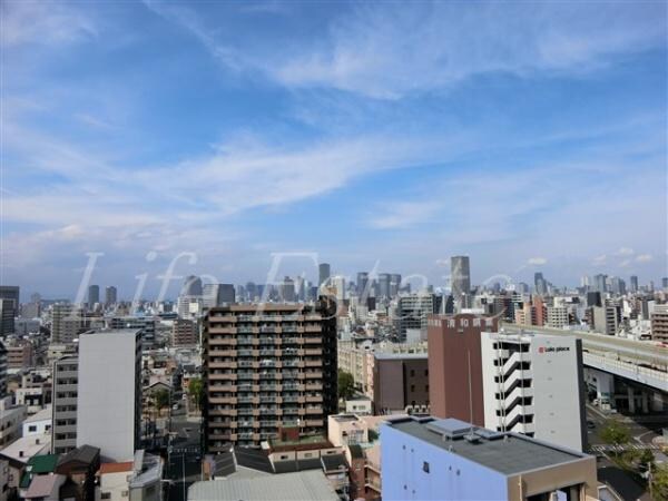 現地からの眺望